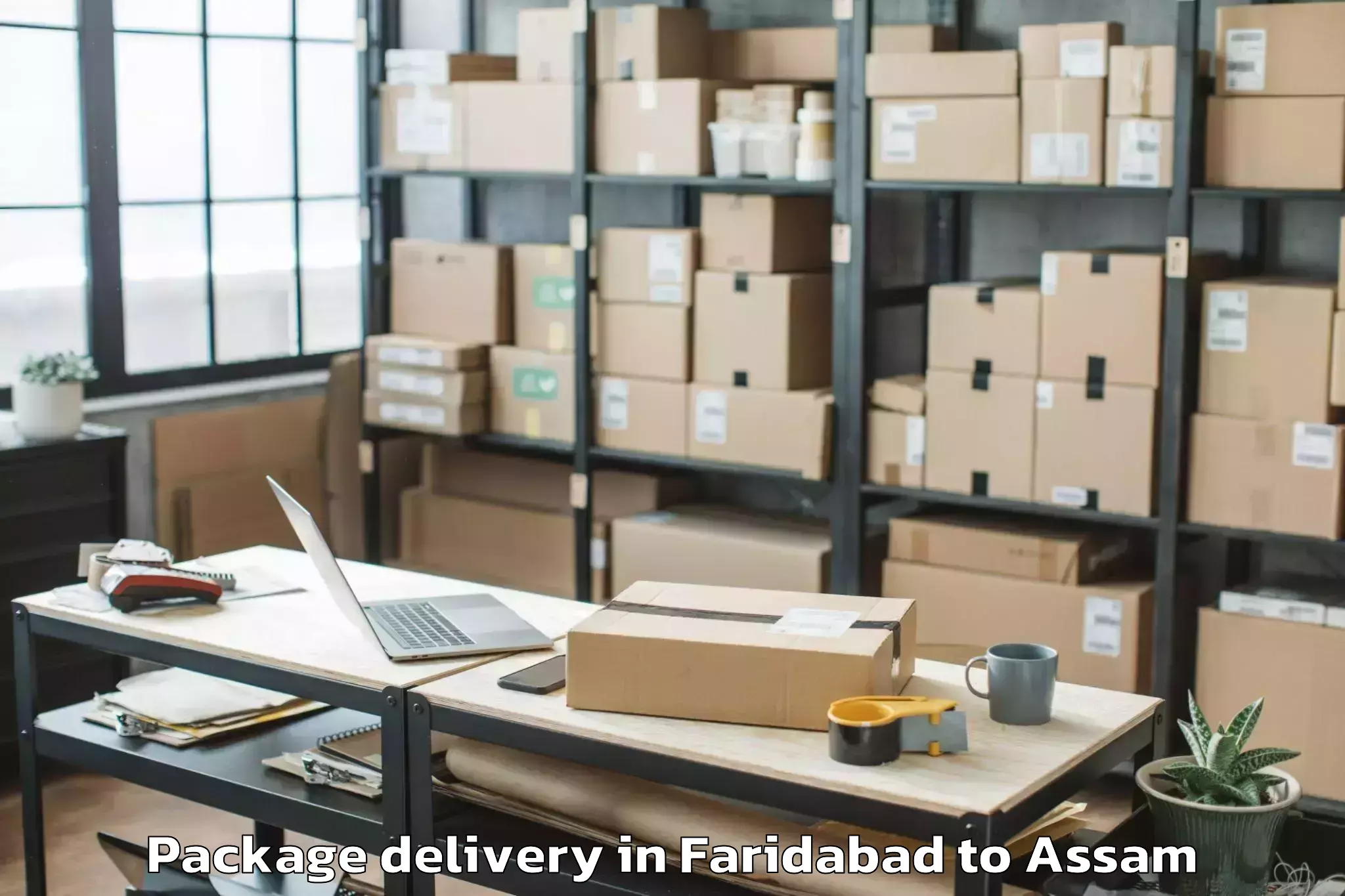 Easy Faridabad to Biswanath Charali Package Delivery Booking